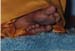 feet02