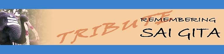 TRIBUTE TO SAI GITA