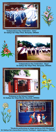 Sai Schools India Final14