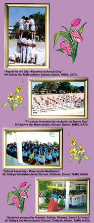 Sai Schools India Final16