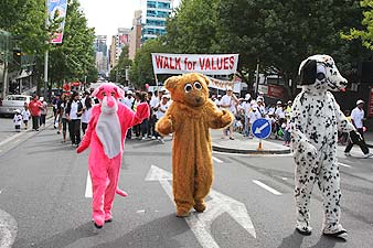 Sai World News New Zealand