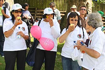 Sai World News New Zealand